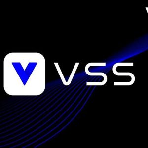 רישיון VSS PRO לערוץ בNVR